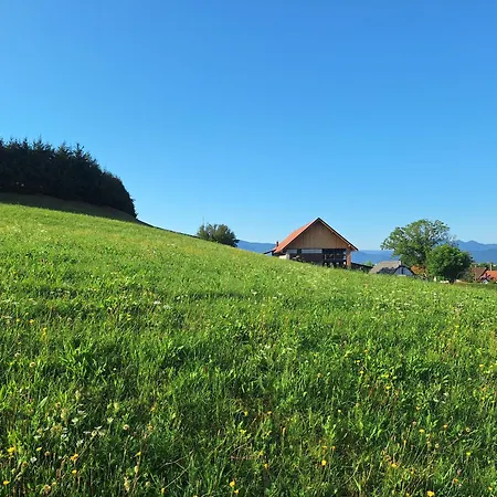Appartamento Sipk -free-parking-breakfast-terrace